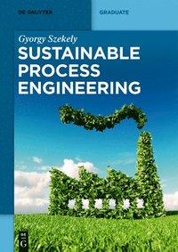 bokomslag Sustainable Process Engineering