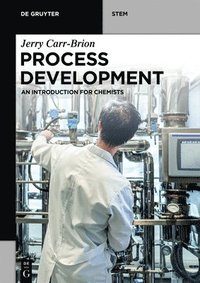 bokomslag Process Development