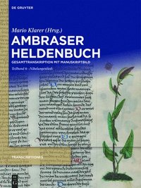 bokomslag ?Nibelungenlied'