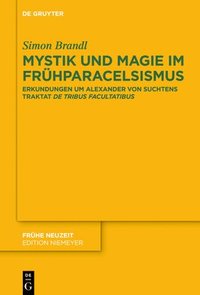 bokomslag Mystik und Magie im Frhparacelsismus