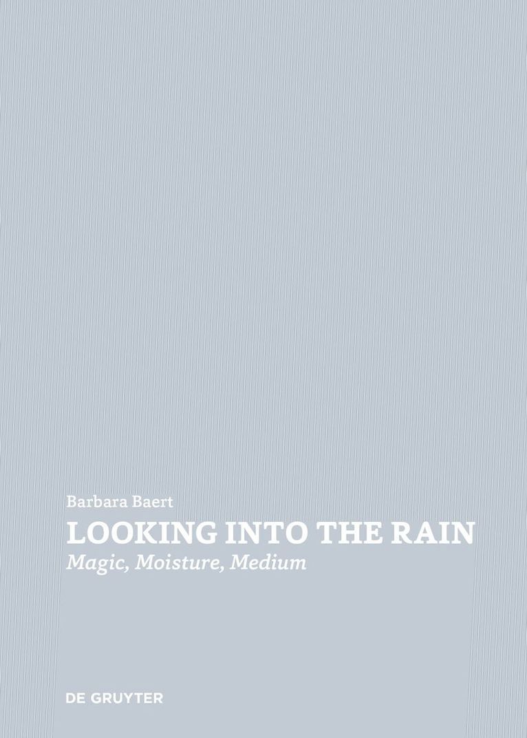 Barbara Baert - Looking Into the Rain, Häftad