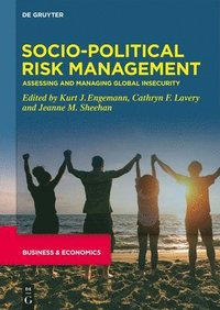 bokomslag Socio-Political Risk Management