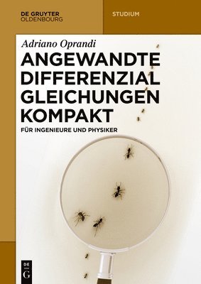 bokomslag Angewandte Differentialgleichungen Kompakt