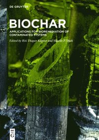 bokomslag BioChar
