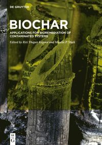 bokomslag BioChar