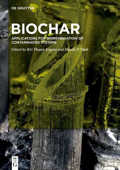 Riti Thapar Kapoor, Maulin P. Shah - BioChar, Inbunden
