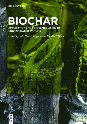 Riti Thapar Kapoor, Maulin P. Shah - BioChar, Inbunden