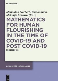 bokomslag Mathematics for Human Flourishing in the Time of COVID-19 and Post COVID-19