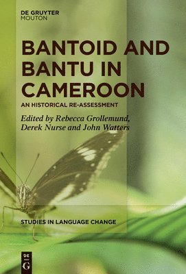 bokomslag Bantoid and Bantu in Cameroon