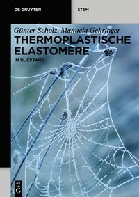 bokomslag Thermoplastische Elastomere