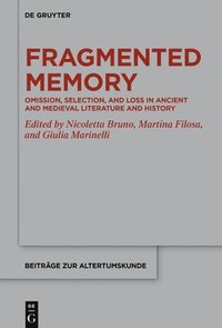 bokomslag Fragmented Memory