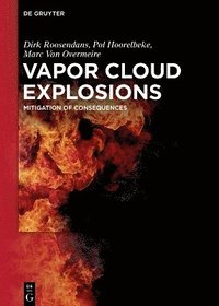 bokomslag Vapor Cloud Explosions