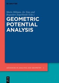 bokomslag Geometric Potential Analysis