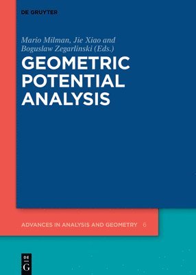 bokomslag Geometric Potential Analysis