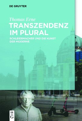 bokomslag Transzendenz im Plural