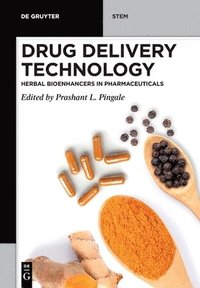 bokomslag Drug Delivery Technology