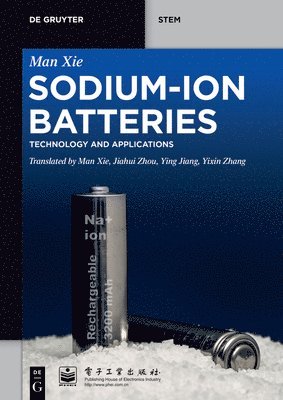 bokomslag Sodium-Ion Batteries