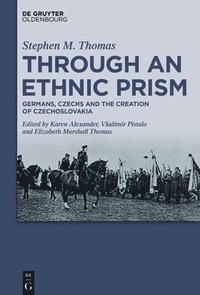 bokomslag Through an Ethnic Prism