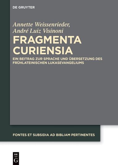 Annette Weissenrieder, André Luiz Visinoni - Fragmenta Curiensia, Inbunden
