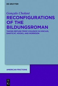 bokomslag Reconfigurations of the Bildungsroman