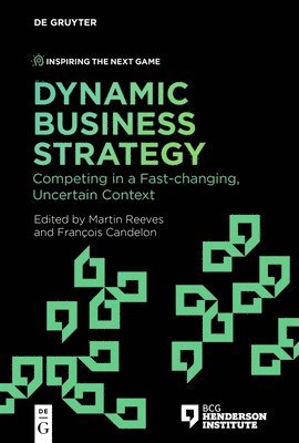 bokomslag Dynamic Business Strategy