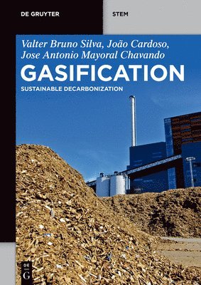 Gasification 1