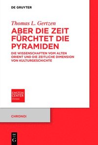 bokomslag Aber die Zeit fürchtet die Pyramiden