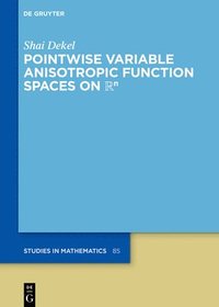 bokomslag Pointwise Variable Anisotropic Function Spaces on 