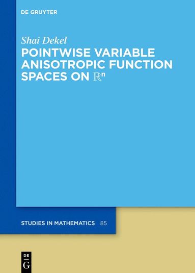 bokomslag Pointwise Variable Anisotropic Function Spaces on ??