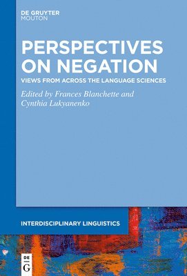 bokomslag Perspectives on Negation