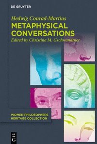 bokomslag Metaphysical Conversations and Phenomenological Essays