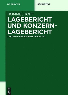 bokomslag Lagebericht und Konzernlagebericht