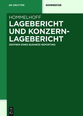 Peter Hommelhoff - Lagebericht und Konzernlagebericht, Inbunden
