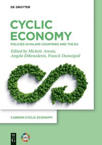 bokomslag Cyclic Economy