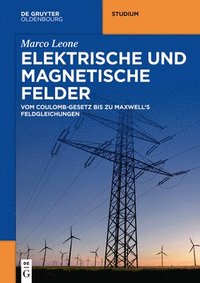 bokomslag Elektrische und magnetische Felder