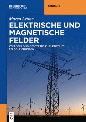 Elektrische und magnetische Felder 1