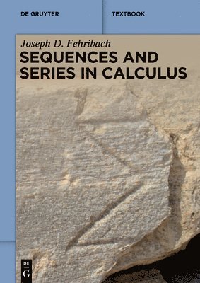 bokomslag Sequences and Series in Calculus