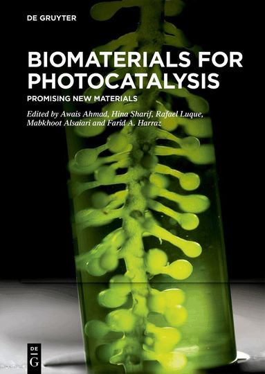Awais Ahmad, Hina Sharif, Rafael Luque, Mabkhoot Alsaiari, Farid A. Harraz - Biomaterials for Photocatalysis, Inbunden