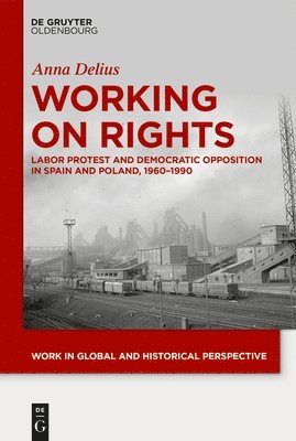 Anna Delius - Working on Rights, Inbunden