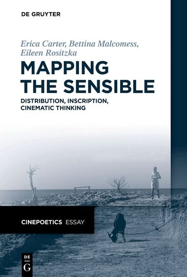 Erica Carter, Bettina Malcomess, Eileen Rositzka - Mapping the Sensible, Häftad