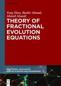 bokomslag Theory of Fractional Evolution Equations