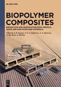 bokomslag Biopolymer Composites