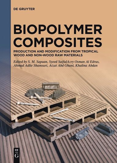 bokomslag Biopolymer Composites