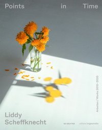 bokomslag Liddy Scheffknecht - Points in Time