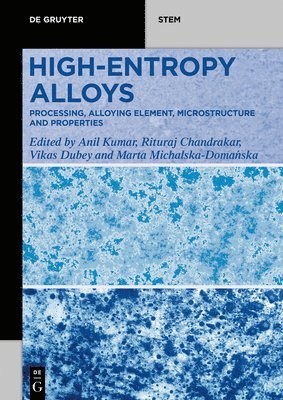 Anil Kumar, Rituraj Chandrakar, Vikas Dubey, Marta Michalska-Domańska - High-Entropy Alloys, Häftad