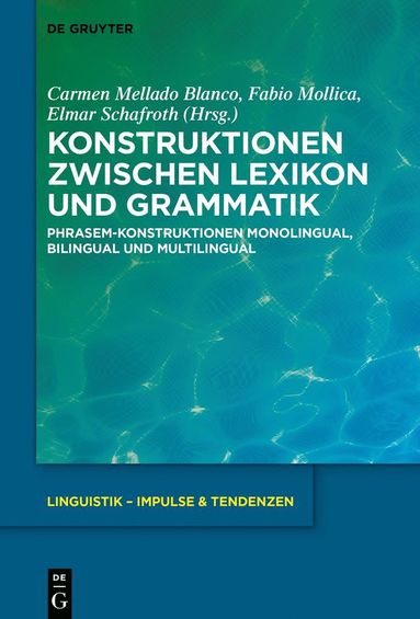 Carmen Mellado Blanco, Fabio Mollica, Elmar Schafroth - Konstruktionen zwischen Lexikon und Grammatik, Inbunden