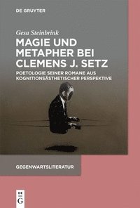 bokomslag Magie und Metapher bei Clemens J. Setz