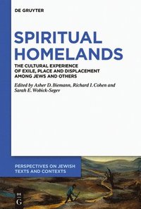 bokomslag Spiritual Homelands