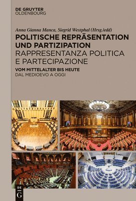 bokomslag Politische Repräsentation und Partizipation / Rappresentanza politica e partecipazione