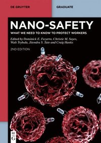 bokomslag Nano-Safety
